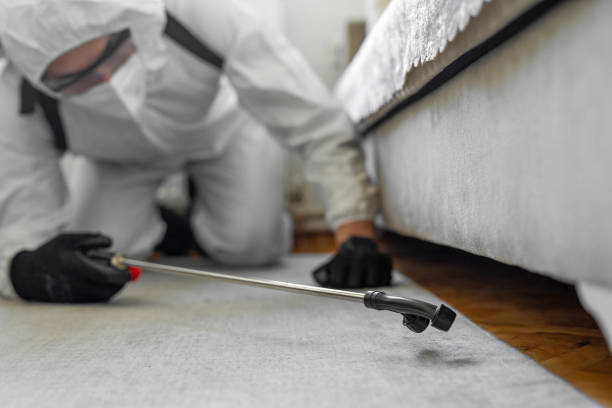 Professional Bed Bug Control technician working in St. Paul Park, MN
