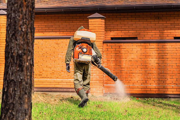 Trusted Bed Bug Control service in St. Paul Park, MN - Nex Pest Control